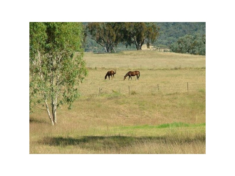 Tamworth NSW 2340