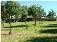 Tintinhull NSW 2352