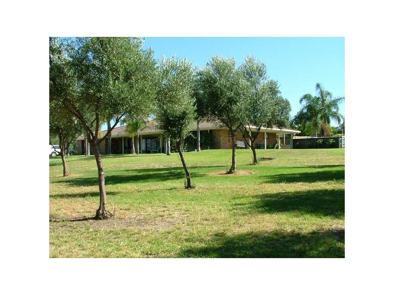 Tintinhull NSW 2352