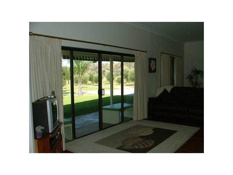 Tintinhull NSW 2352