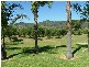 Tintinhull NSW 2352