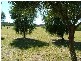 Tintinhull NSW 2352