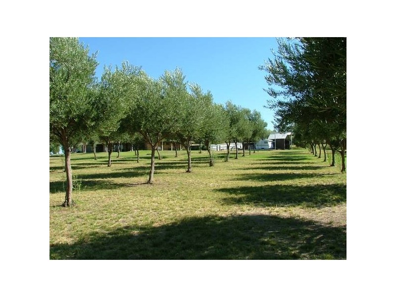 Tintinhull NSW 2352