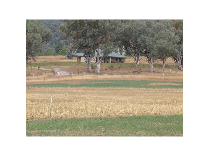 Attunga NSW 2345
