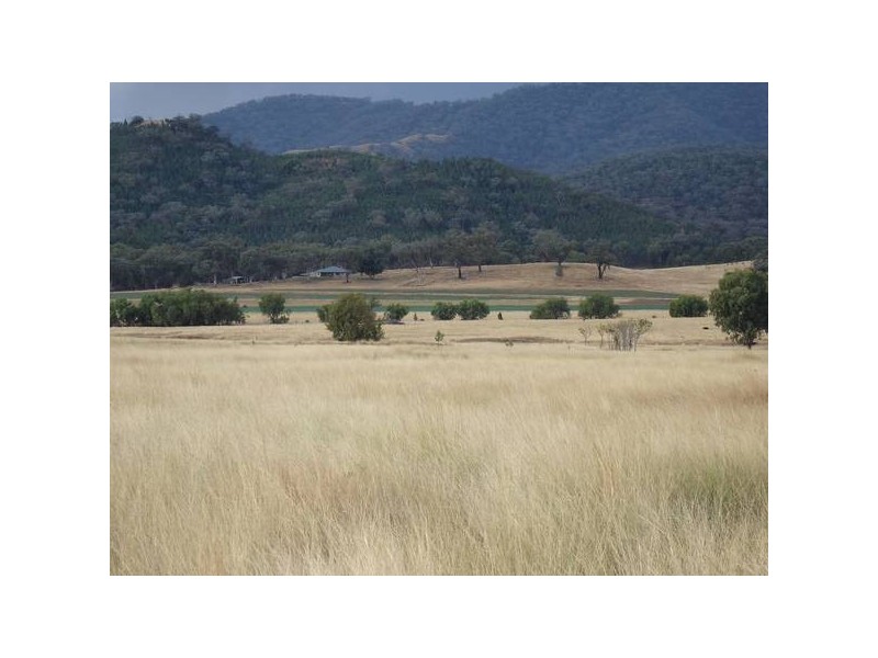 Attunga NSW 2345
