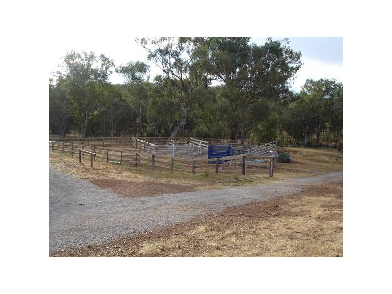 Attunga NSW 2345