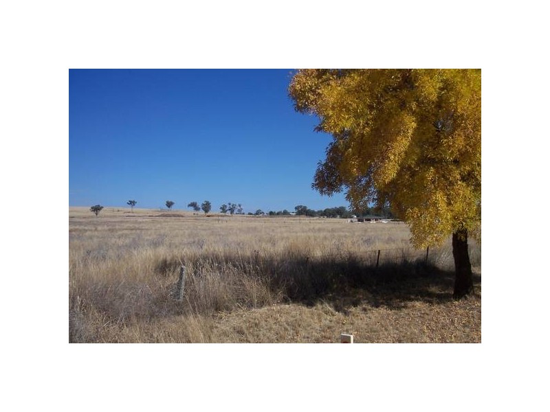 1 Falcon Drive, Tamworth NSW 2340