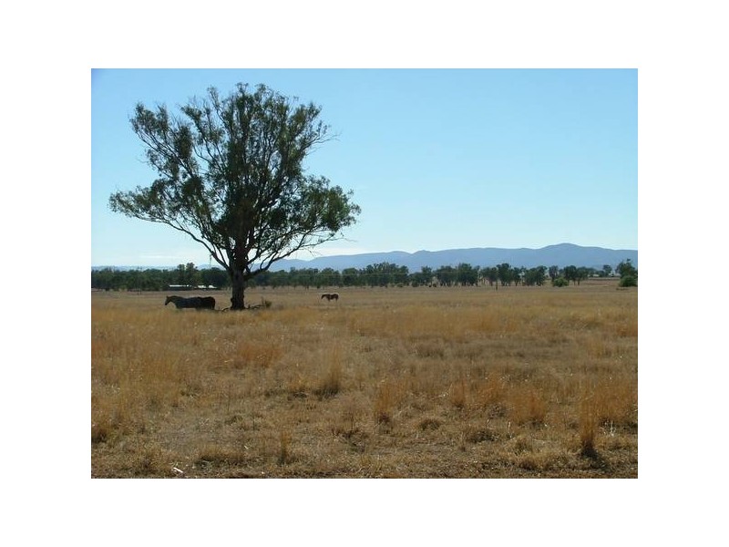 Tamworth NSW 2340