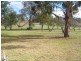 2988 Manilla Road, Attunga NSW 2345