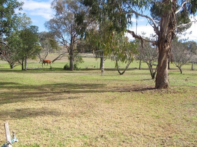 2988 Manilla Road, Attunga NSW 2345