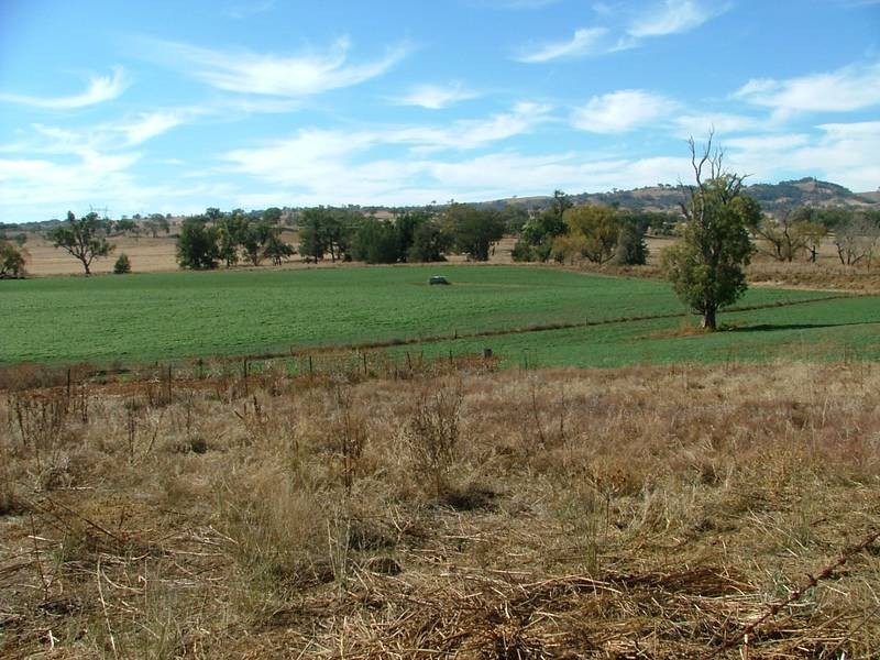 1 MIDDLEBROOK, Tamworth NSW 2340