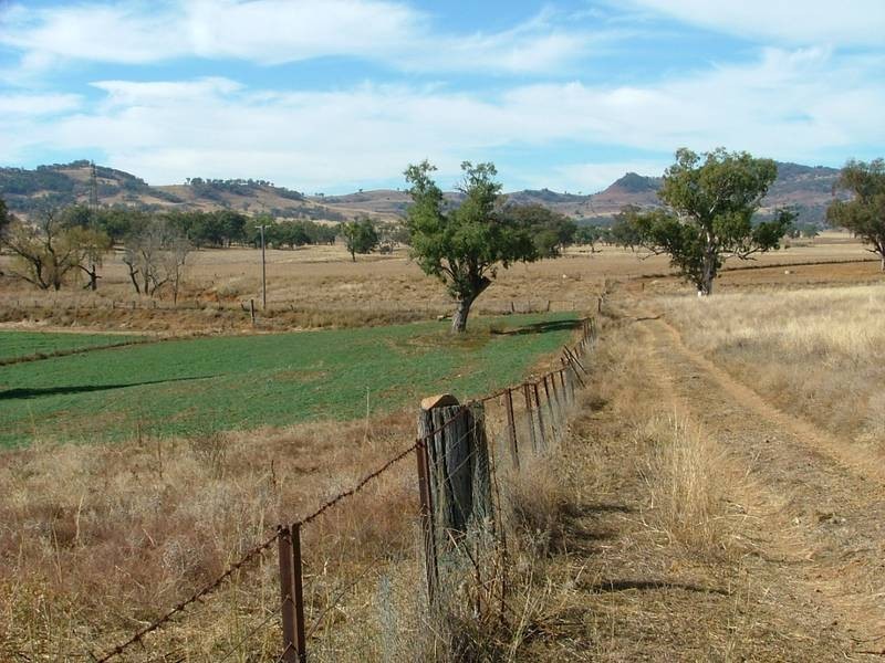 1 MIDDLEBROOK, Tamworth NSW 2340