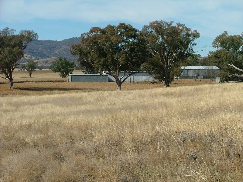 1 MIDDLEBROOK, Tamworth NSW 2340