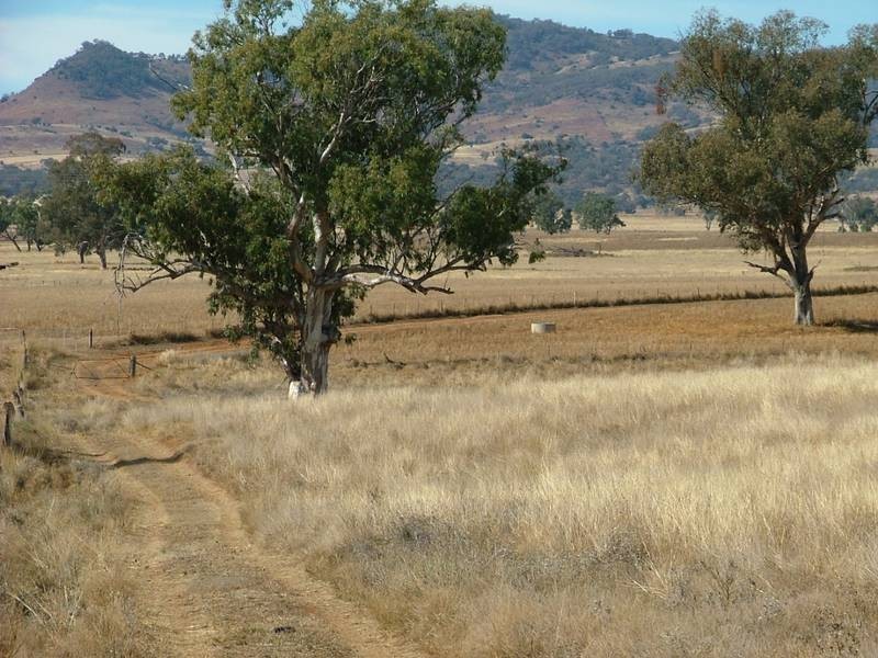 1 MIDDLEBROOK, Tamworth NSW 2340