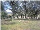 21 Werris Creek Road, Currabubula NSW 2342