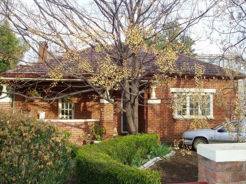49 Fitzroy Street, East, Tamworth NSW 2340