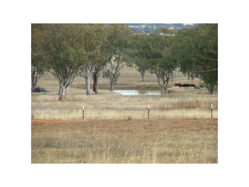 101 MELROSE LANE, Tamworth NSW 2340