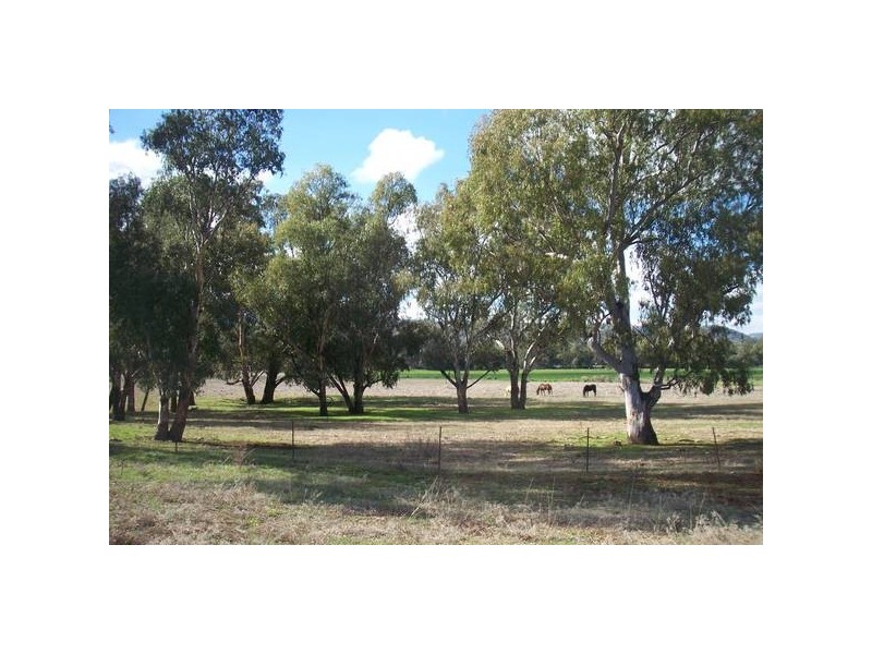 Tamworth NSW 2340