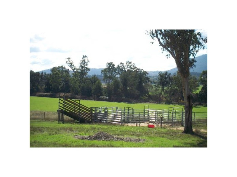Tamworth NSW 2340