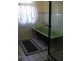 387 Bolton Street, Currabubula, Tamworth NSW 2340