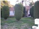 157 Warral Road, West, Tamworth NSW 2340