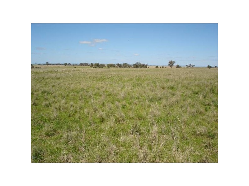 Tamworth NSW 2340