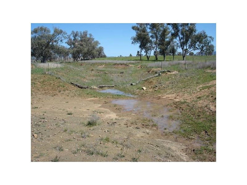 Tamworth NSW 2340