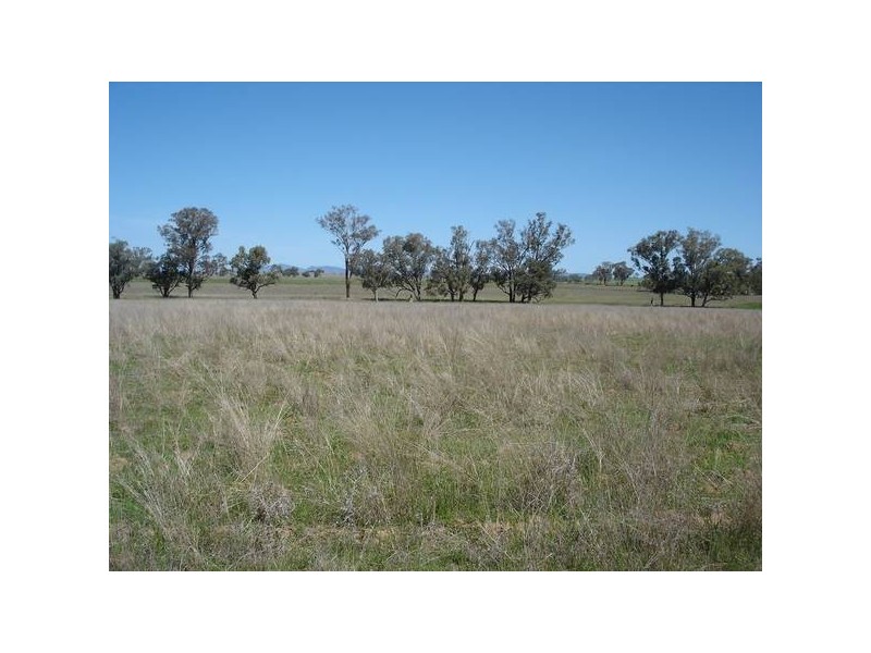 Tamworth NSW 2340