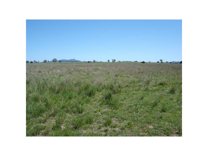 63 PHILLIP LANE, Tamworth NSW 2340