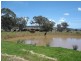 Manilla NSW 2346