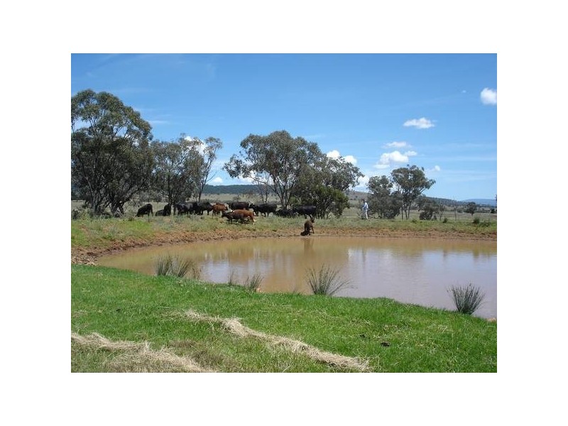 Manilla NSW 2346
