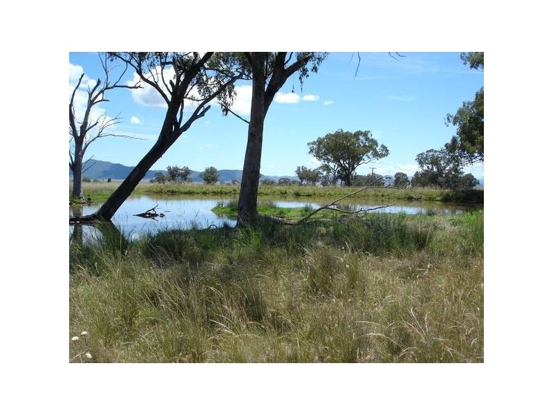 Manilla NSW 2346
