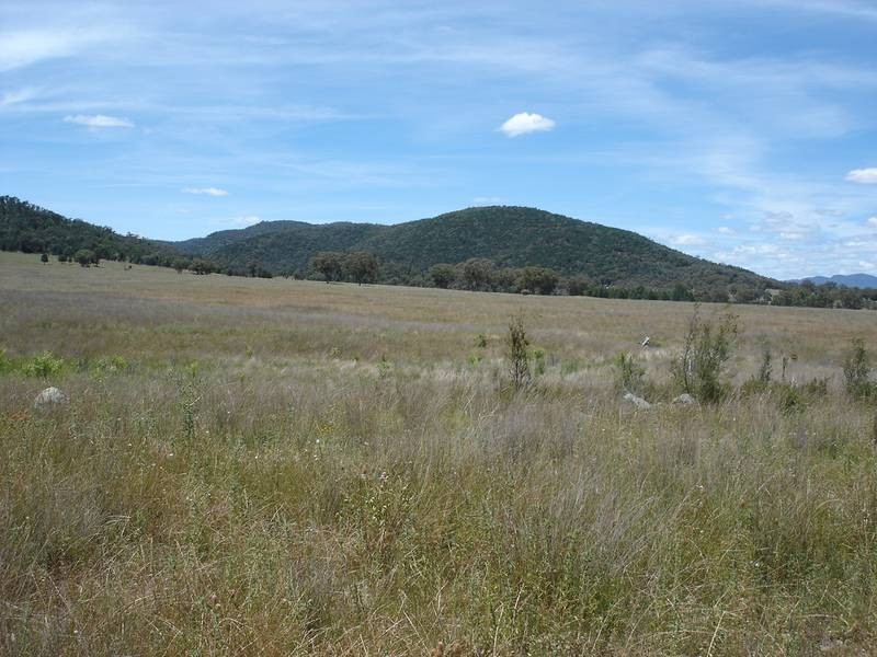 Tamworth NSW 2340