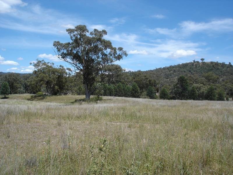 Tamworth NSW 2340