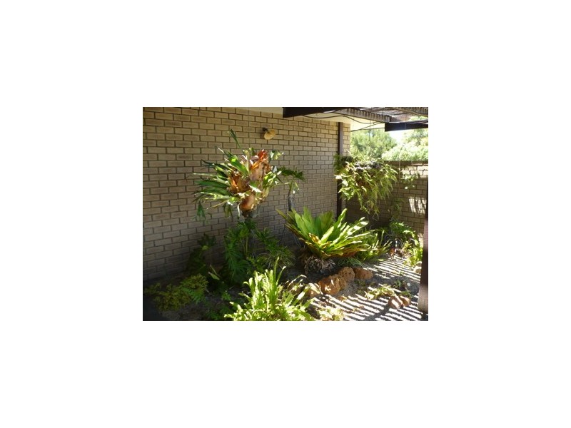 38 Jackson Street, Waroona WA 6215