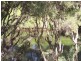 2 Paterson road, Pinjarra WA 6208