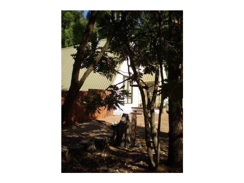 11 Forestview Road, Dwellingup WA 6213