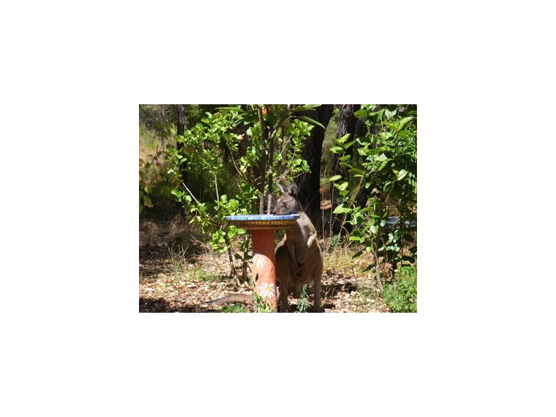 24 Lyons Road, Waroona WA 6215