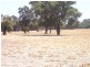 Various Lots 1,2,3,312,313,314 and 315 Crossman Road, Boddington WA 6390