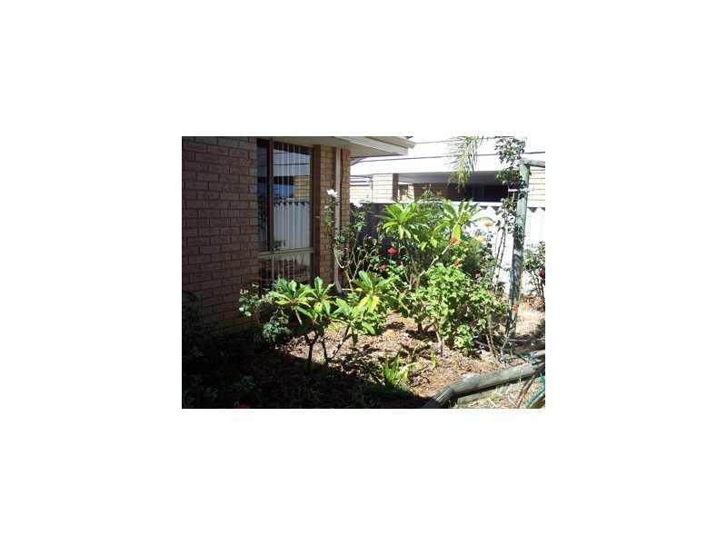 37 Lever way, South Yunderup WA 6208