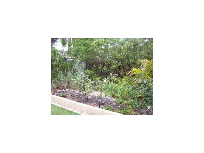 14 Salter Street, Pinjarra WA 6208