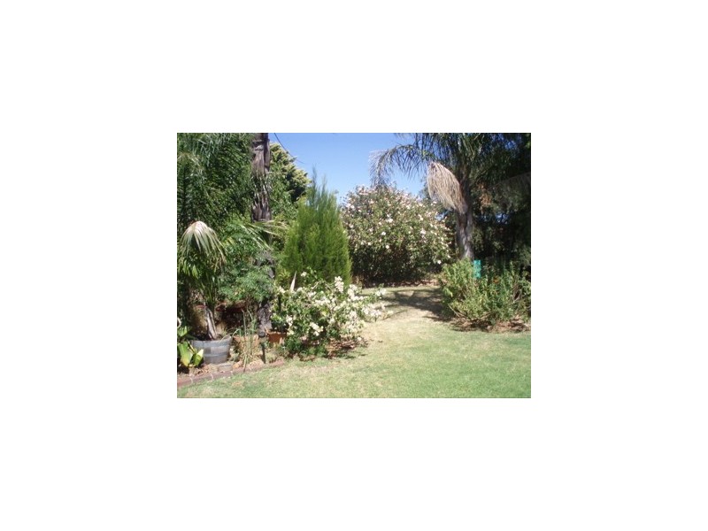 31 Pinjarra/Williams Road, Pinjarra WA 6208