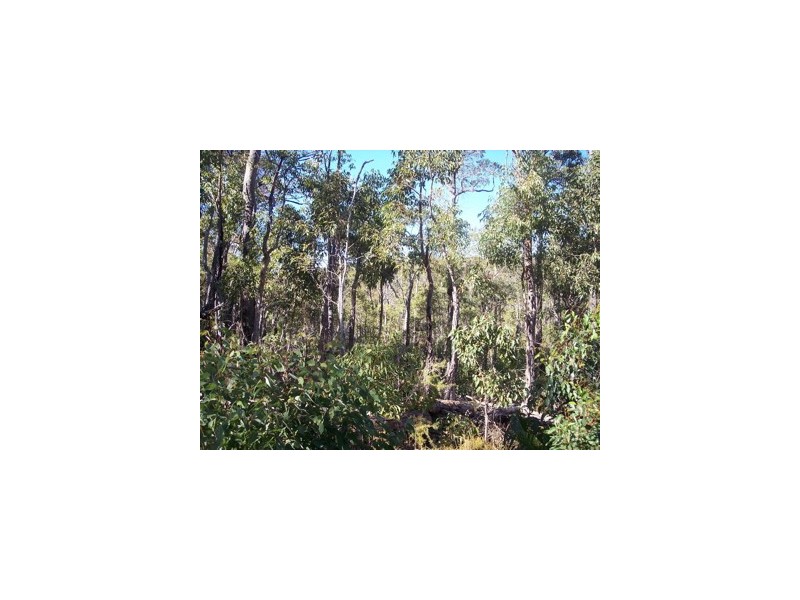 804and5 Hines Road, North Dandalup WA 6207