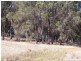 804and5 Hines Road, North Dandalup WA 6207