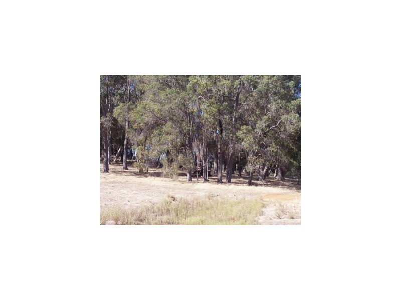 804and5 Hines Road, North Dandalup WA 6207