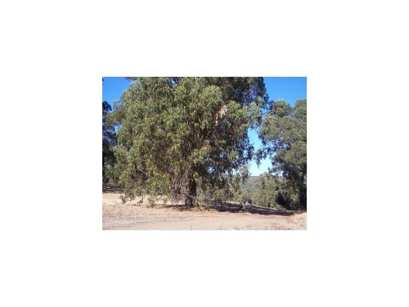 804and5 Hines Road, North Dandalup WA 6207