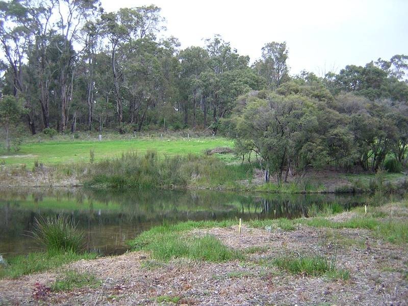 8 Holyoake Road, Dwellingup WA 6213