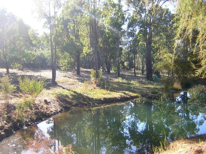 8 Holyoake Road, Dwellingup WA 6213