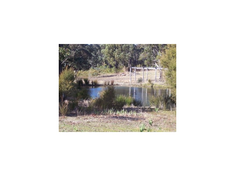 8 Holyoake Road, Dwellingup WA 6213