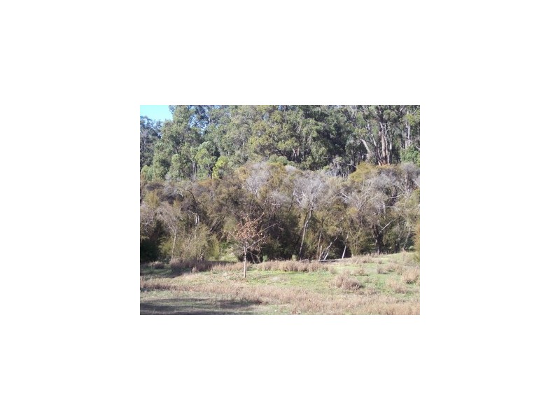 8 Holyoake Road, Dwellingup WA 6213